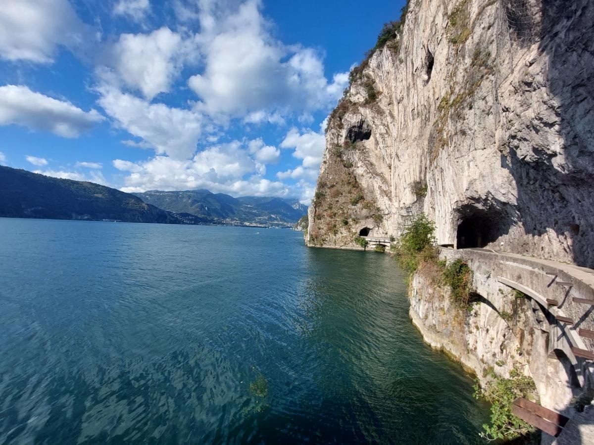 Iseo Lake Villa Con Vista Lago E Piscina 코스타 볼피노 외부 사진